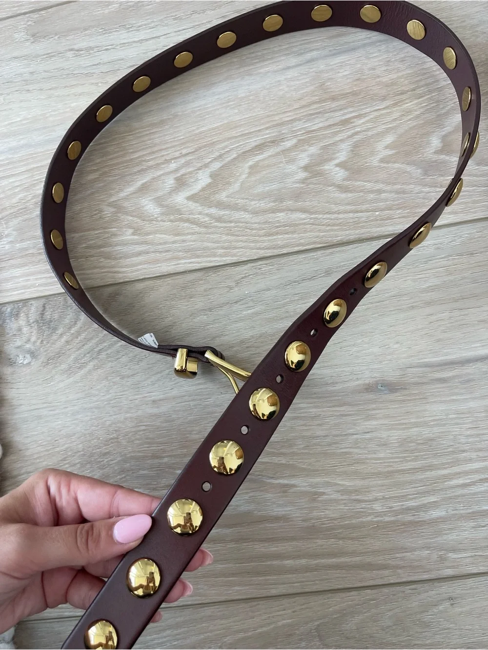 Madewell Brown Gold Studded Belt